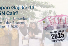 Mulai 3 Juni 2025 PPPK Senyum Lebar, Gaji ke-13 dan Berbagai Tunjangan Diterima Segini Besarannya