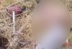 Dua Warga Desa Srijaya Baru OKI Jadi Korban Terinjak Gajah