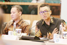 Green Energy Buyers Dialogue Kemenko Marves dan PLN Cara Gaet Komunitas Global 