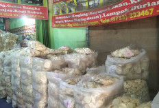 Toko Oleh-oleh Nyimas Neti Anwar, Surga Kriuk di Lubuk Linggau