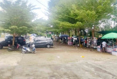 Pengunjung Wisata Air Terjun Temam Lubuk Linggau Turun 50 Persen, Wali Kota Ingatkan Hal Ini
