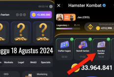 Sudah Keluar Combo Harian Hamster Kombat Hari Ini 18 Agustus 2024, Garap Hingga 5 Juta Koin Gratis