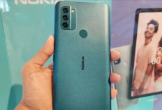 Nokia C31 Masih Layak Dibeli? Ini Kelebihan dan Kekurangannya di 2026