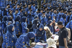 Kabar Gembira! Ada 29 Formasi CPNS 2024 untuk Lulusan SMA dan SMK