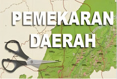 10 Wacana Calon Kabupaten dan Kota Baru di Provinsi Sumsel, Adakah Wilayahmu