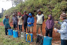 PPL Ajak Para Petani Rutin Lakukan Monitoring Pada Tanaman Padi, Sebagai Pencegahan Sejak Dini 