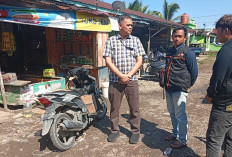 Sensus Ekonomi 2026 Merubah Dasar Struktur Ekonomi Sasaran 25 Kategori Lapangan Usaha