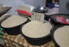 Beras Merasi Tetap Dicari, Bisa Beli Eceran Hingga Karungan
