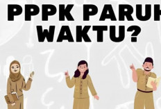 Jangan Lewatkan! PPPK Paruh Waktu Sekarang Bisa Dapat Karier Permanen, Ini Bocorannya