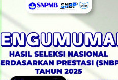Pengumuman UTBK SNBT 2025, Berikut Daftra 40 Situs Resmi Perguruan Tinggi Negeri