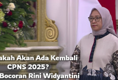 Rekrutmen CPNS 2025 Apakah Bakal Dibuka Kembali? Ini Bocoran Rini Widyantini