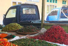 Pantauan Harga Cabai Merah Terkini di Pasar Bukit Sulap, Selisih Harga Capai Rp15 Ribu per Kilogram