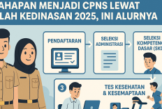 Tahapan Menjadi CPNS lewat Sekolah Kedinasan 2025, Ini Alurnya