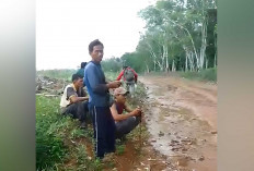 Soal Kawanan Gajah Kembali Masuk ke Perkebunan Warga di Musi Rawas, Ini Imbauan BKSDA 