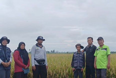 BPP Tugumulyo Ajak Petani Lakukan Tanam Serentak, Dukung Program ketahanan Pangan Nasional