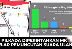 1 Provinsi, 3 Kota, 20 Kabupaten Pilkada Ulang, Berikut 24 Daerah PSU Butuh Kebijakan Khusus