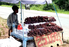 Anggur Rp 25 Ribuan Asal Aceh Warnai Jalinsum Musi Rawas