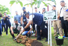 Ayo Jaga Hutan, Gubernur Herman Deru : Tebang Pohon Cukup 3 Menit, Pohon Tumbuh Kokoh Butuh Waktu 25 Tahun