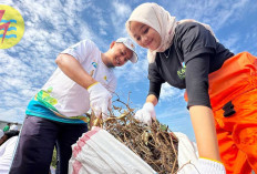 Di Hari Lingkungan Hidup 302 Ton Sampah Melalui Green Employee Involvement Berhasil PLN Kumpulkan