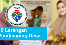 Pendamping Desa Bisa Diputuskan Kontrak Kerja, Maka Jangan Pernah Lakukan 10 Hal Ini Ya...!   