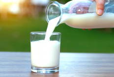 Inilah 5 Susu Dengan Tinggi Protein Untuk Anak Dan Dewasa,Yuk Simak Disini!