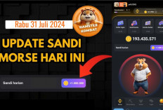 Baru Sandi Morse Hamster Kombat Hari Ini 31 Juli 2024, Dapatkan hingga Jutaan Koin Gratis 