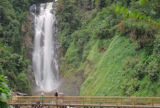 Wisata Alami Curup Tenang Bedegung di Kabupaten Muara Enim Mencerahkan Mata