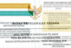 Kesalahan Administrasi CPNS 2024 dari Verifikator yang Berpeluang Lulus Masa Sanggah