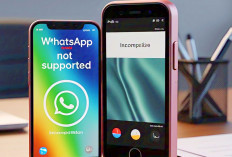 Juni 2025, Daftar HP ini tidak Bisa Gunakan WhatApp Lagi! Solusi Ganti HP Terbaru