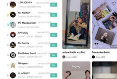 SnapTik CapCut, Solusi Download Video TikTok Tanpa Watermark, Gampang dan Gratis