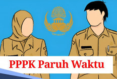 PPPK Paruh Waktu Jangan Senang Dulu! Jika Perkara Ini  Terjadi, Resmi Putuskan Masa Kontraknya