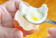 Jangan Sering Makan Telur, Kadar Kolesterol Bisa Tinggi