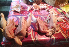  Jelang Nataru, Harga Daging Ayam di Lubuk Linggau Masih Tinggi