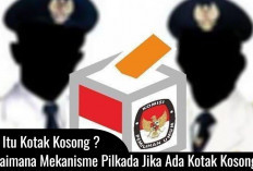 Apa Itu Kotak Kosong dan Bagaimana Mekanisme Pilkada Jika Ada Kotak Kosong?