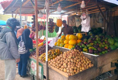 Manggis Segar Ramaikan Lapak Pasar Satelit, Pembeli Antusias Memilih Buah Berkualitas