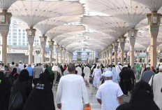 Berikut 12 Aturan Terbaru Bagi Pengunjung Masjid Nabawi