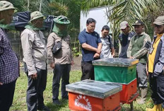 Gangguan Terhadap Kawasan Hutan Semakin Tinggi, Ini yang Dilakukan KPHP Unit VI Lakitan