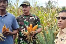 Bupati Muratara Minta Lahan yang Ada Harus Produktif