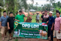 Idul Adha 1447H, DPD LDII Musi Rawas Sembelih 55 Sapi dan 17 Kambing , Tebar 2.500 Paket Daging Kurban!