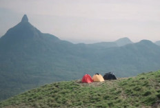 Pendaki Asal Babel Meninggal di Bukit Besar Merapi, Penyebab Masih Diselidiki