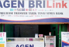 Agen Brilink Desa Sukapulih OKI, Banyak PMI Transfer Uang Makin Aman, Cepat dan Mudah 