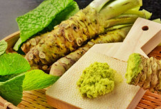 10 Manfaat  Mengonsumsi Wasabi untuk Kesehatan,Yuk Jaga Kesehatan!