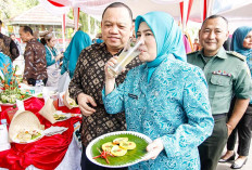 Emak-emak di Muba Adu Kreatif Dalam Lomba Masakan Serba Ikan 