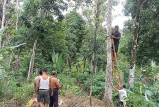 Musim Hujan Air Baku PDAM Keruh Sehingga Biaya Operasional PDAM Meningkat