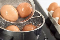 Inilah 5 Durasi Merebus Telur Agar Matang dengan Sempurna