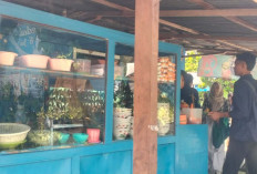 B’Juli Surga Kuliner Hangat di Marga Mulya Lubuk Linggau, Bakso dan Tekwan jadi Primadona