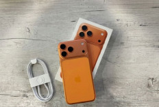 Kekurangan dan Kelebihan iPhone 17, Simak Faktannya disini!