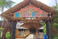 Palembang Bird Park, Destinasi Wisata Alam dan Edukasi yang Menarik