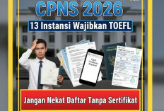 CPNS 2026: 13 Instansi Wajibkan TOEFL, Jangan Nekat Daftar Tanpa Sertifikat