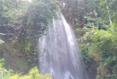 Menjelajah Surga Tersembunyi di Bumi Serasan Sekundang: Pesona Air Terjun Curup Bali Muara Enim